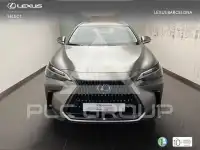 2026 Lexus NX