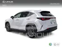 2026 Lexus NX