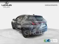 2026 Lexus NX