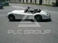 1953 Jaguar XK