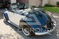 1953 Volkswagen BEETLE
