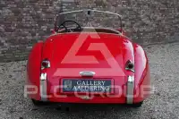 1954 Jaguar XK