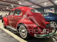 1954 Volkswagen T1