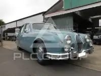 1955 Jaguar Unknown