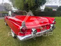 1955 Ford Thunderbird
