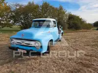 1956 Ford F-100