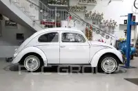 1956 Volkswagen BEETLE