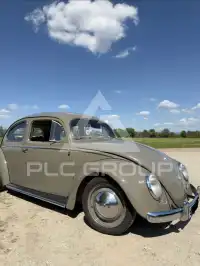 1956 Volkswagen BEETLE