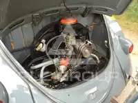 1956 Volkswagen BEETLE