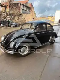 1956 Volkswagen BEETLE