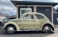 1959 Volkswagen BEETLE