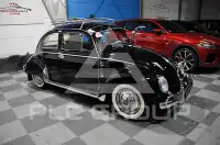 1959 Volkswagen BEETLE