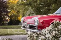1961 Alfa Romeo Giulia