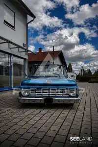 1961 Ford F-100