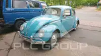 1961 Volkswagen BEETLE