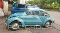 1961 Volkswagen BEETLE