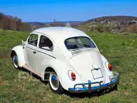 1962 Volkswagen BEETLE