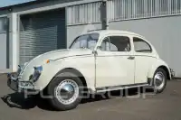 1962 Volkswagen BEETLE