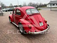 1962 Volkswagen BEETLE