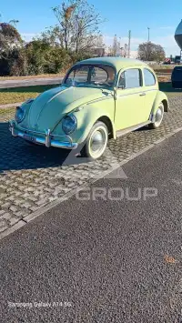 1963 Volkswagen Others