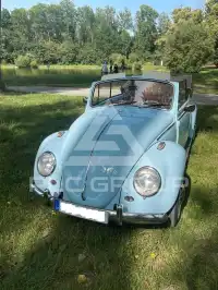 1963 Volkswagen BEETLE