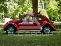 1964 Volkswagen BEETLE