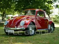 1964 Volkswagen BEETLE