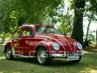 1964 Volkswagen BEETLE