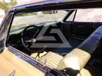 1965 Ford Other