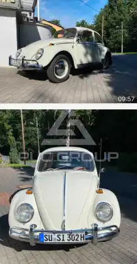 1965 Volkswagen 