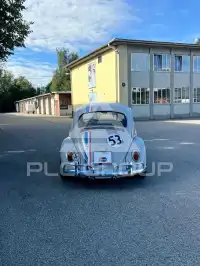 1965 Volkswagen BEETLE