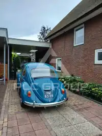 1965 Volkswagen BEETLE