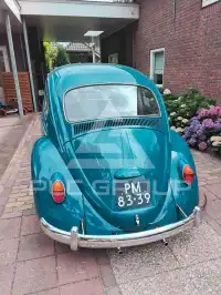 1965 Volkswagen BEETLE