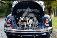 1965 Volkswagen BEETLE