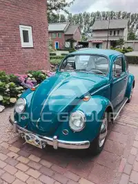 1965 Volkswagen BEETLE