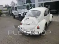 1966 Volkswagen BEETLE
