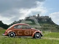 1966 Volkswagen BEETLE