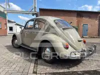 1966 Volkswagen BEETLE