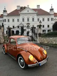 1966 Volkswagen BEETLE
