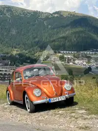 1966 Volkswagen BEETLE