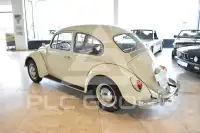 1966 Volkswagen BEETLE