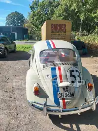 1966 Volkswagen BEETLE