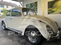 1966 Volkswagen BEETLE