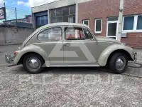 1966 Volkswagen BEETLE