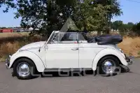 1966 Volkswagen BEETLE