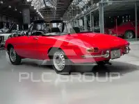 1967 Alfa Romeo Spider