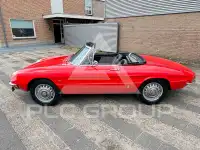 1968 Alfa Romeo Spider