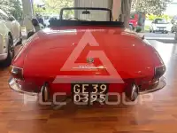 1969 Alfa Romeo Spider