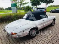 1969 Alfa Romeo Spider