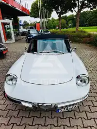 1969 Alfa Romeo Spider